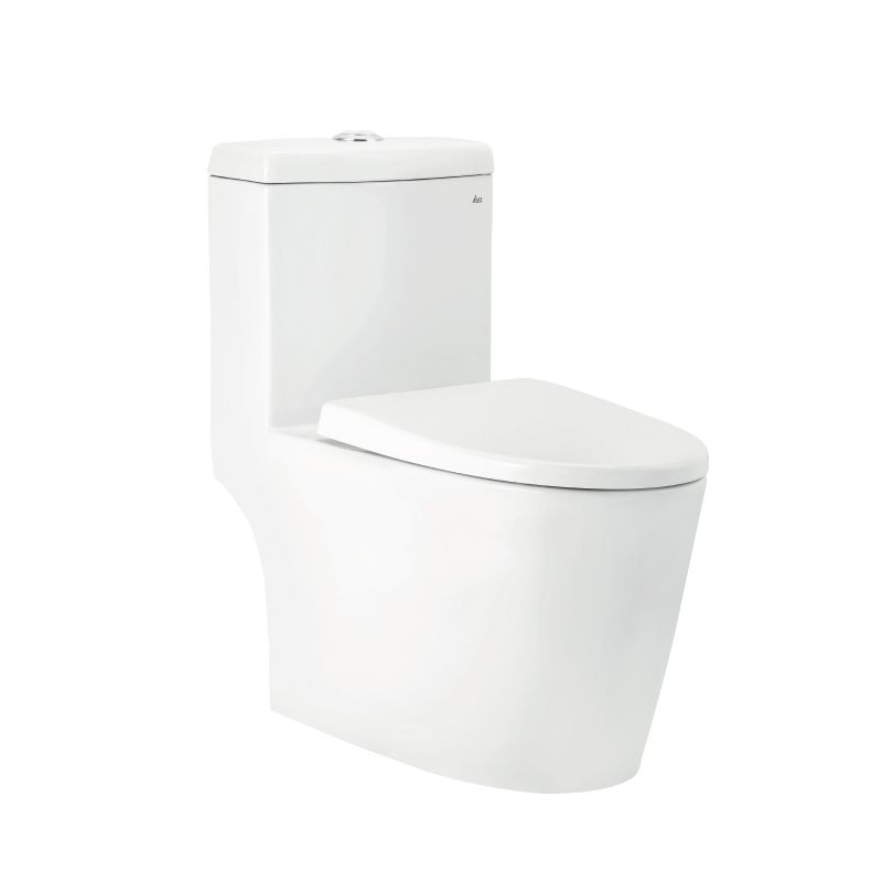 AC5893 二段式省水馬桶設備.jpg